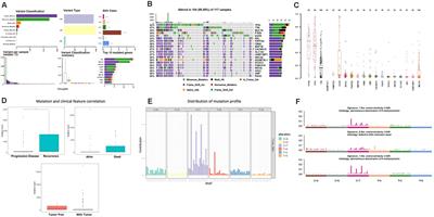 Multi-Omics Analysis Reveals Novel Subtypes and Driver Genes in Glioblastoma